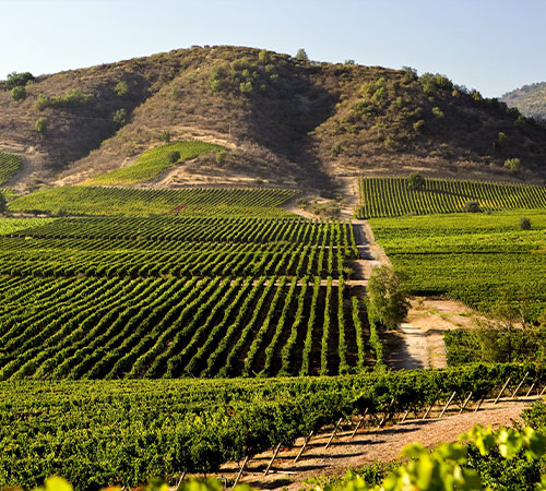 Image showing the wine valleys outside of Santiago