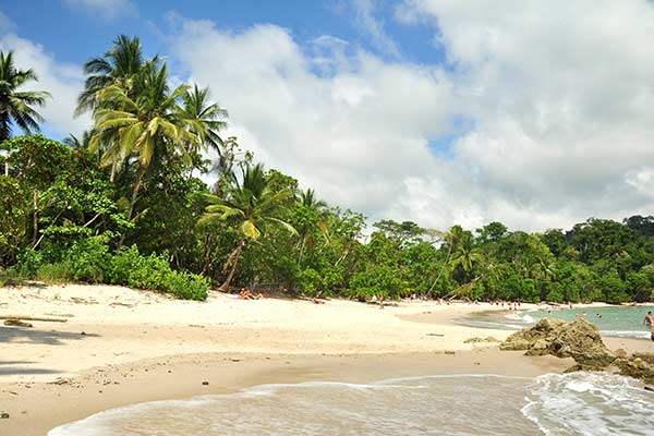 Beach in Manuel Antonio National Park