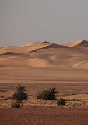 sand dunes in the sahara desert in egypt