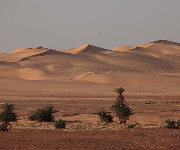 the sand dundes in the sahara desert in Egypt