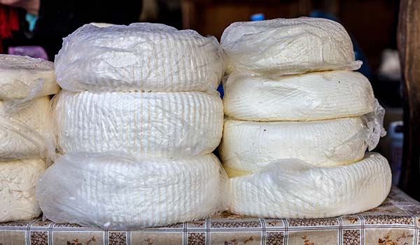 Sulguni georgian cheese