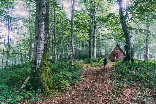 Green forest with hiking trail leading to wooden hut in mtirala national park in georgia