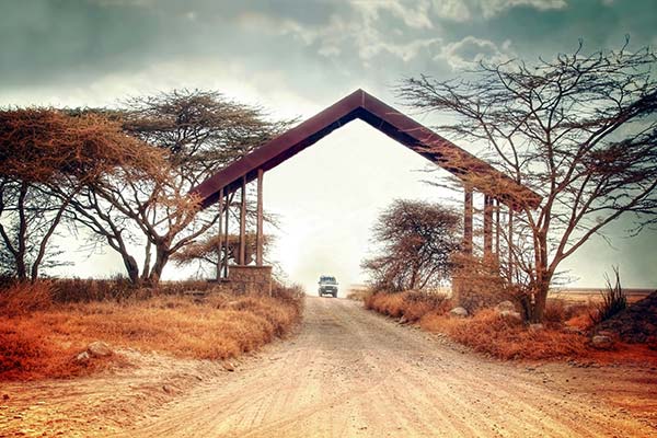 jeep on a safari in kenya