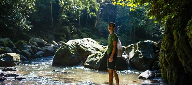 solo tourist on a private tour in the amazon jungle spotting wildlife