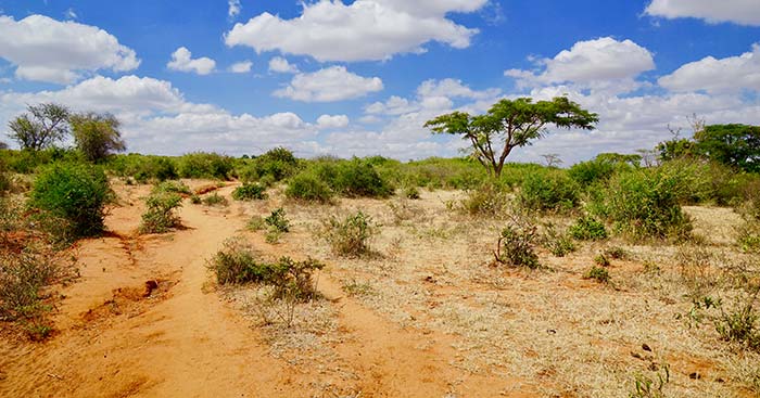 desert and planes in dodoma capital city of tanzania