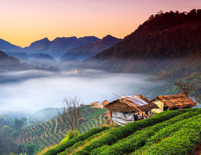 Venture out of Chiang Mai to experience the region's fabulous mountain surroundings