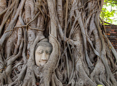 visit Ayutthaya on a day trip from Bangkok