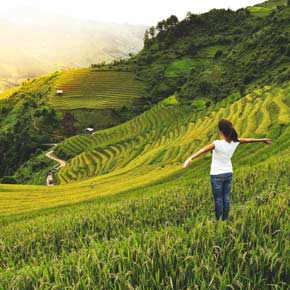 Female solo tourist on holiday with a group travel trip in the sapa hills looks over the landscape