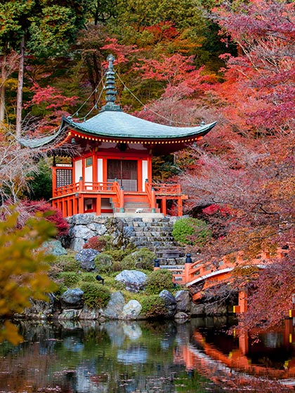 pagoda temple in japanese garden in autumn pond and bridge