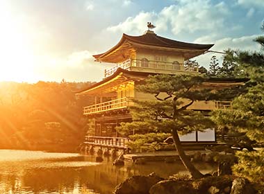 a colourful japanese garden with autumn trees and red flowers with a small temple and bridge over the lake