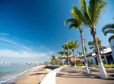 beach palm trees and sea in one of the best places to go in mexico puerto vallarta