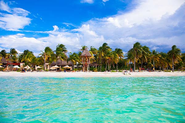 palm trees and sun loungers at playa norte