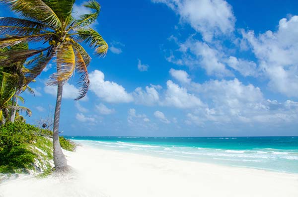 tulum playa is one of the most popular beaches in mexico