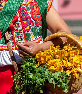 mexican woman wearing traditional clothing carrying flowers in a basket