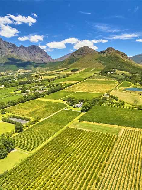 South Africa is known for its wine and vineyards