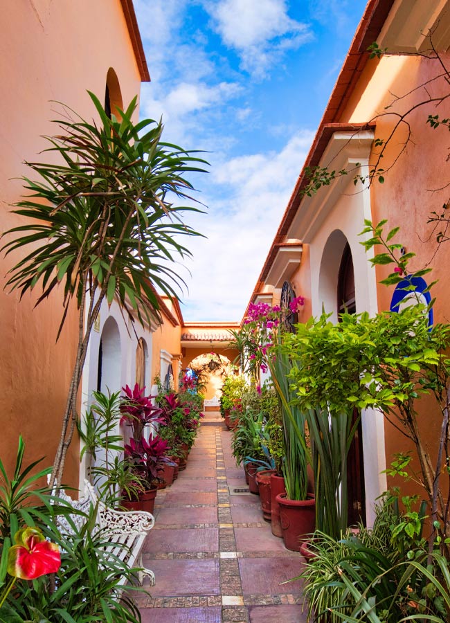 A colourful alleyway in central Oaxaca