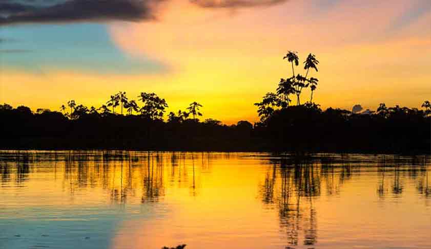 Stunning Sunset in the Amazon 